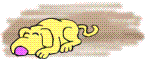 Gifs animados Animales - Imagenes animadas de Animales