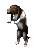 Gifs animados Animales - Imagenes animadas de Animales