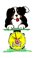 Gifs animados Animales - Imagenes animadas de Animales