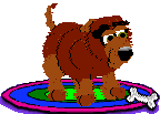 Gifs animados Animales - Imagenes animadas de Animales