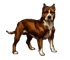 Gifs animados Animales - Imagenes animadas de Animales