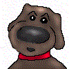 Gifs animados Animales - Imagenes animadas de Animales