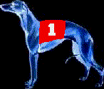 Gifs animados Animales - Imagenes animadas de Animales