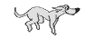 Gifs animados Animales - Imagenes animadas de Animales