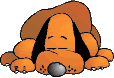 Gifs animados Animales - Imagenes animadas de Animales