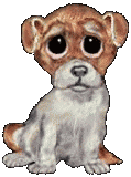 Gifs animados Animales - Imagenes animadas de Animales