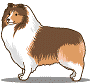 Gifs animados Animales - Imagenes animadas de Animales