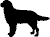 Gifs animados Animales - Imagenes animadas de Animales