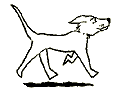 Gifs animados Animales - Imagenes animadas de Animales