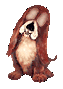 Gifs animados Animales - Imagenes animadas de Animales