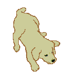 Gifs animados Animales - Imagenes animadas de Animales