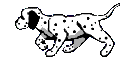 Gifs animados Animales - Imagenes animadas de Animales