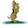 Gifs animados Animales - Imagenes animadas de Animales