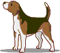 Gifs animados Animales - Imagenes animadas de Animales