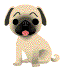 Gifs animados Animales - Imagenes animadas de Animales