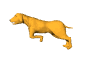 Gifs animados Animales - Imagenes animadas de Animales