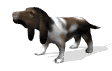 Gifs animados Animales - Imagenes animadas de Animales