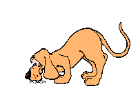 Gifs animados Animales - Imagenes animadas de Animales