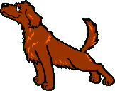Gifs animados Animales - Imagenes animadas de Animales