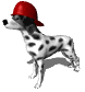 Gifs animados Animales - Imagenes animadas de Animales