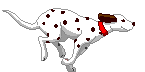Gifs animados Animales - Imagenes animadas de Animales