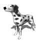 Gifs animados Animales - Imagenes animadas de Animales