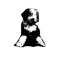 Gifs animados Animales - Imagenes animadas de Animales