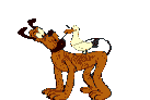 Gifs animados Animales - Imagenes animadas de Animales