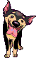 Gifs animados Animales - Imagenes animadas de Animales