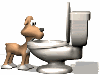 Gifs animados Animales - Imagenes animadas de Animales