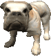 Gifs animados Animales - Imagenes animadas de Animales