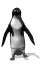 Gifs animados Animales - Imagenes animadas de Animales