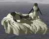 Gifs animados Animales - Imagenes animadas de Animales