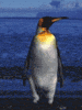 Gifs animados Animales - Imagenes animadas de Animales