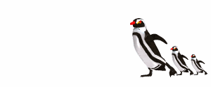 Gifs animados Animales - Imagenes animadas de Animales