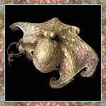 Gifs animados Animales - Imagenes animadas de Animales