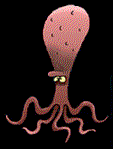 Gifs animados Animales - Imagenes animadas de Animales