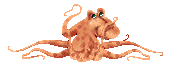 Gifs animados Animales - Imagenes animadas de Animales