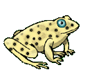 Gifs animados Animales - Imagenes animadas de Animales
