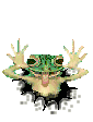 Gifs animados Animales - Imagenes animadas de Animales