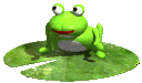 Gifs animados Animales - Imagenes animadas de Animales