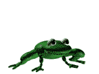 Gifs animados Animales - Imagenes animadas de Animales