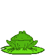 Gifs animados Animales - Imagenes animadas de Animales