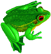Gifs animados Animales - Imagenes animadas de Animales