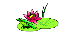 Gifs animados Animales - Imagenes animadas de Animales