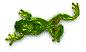 Gifs animados Animales - Imagenes animadas de Animales