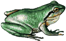 Gifs animados Animales - Imagenes animadas de Animales