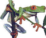 Gifs animados Animales - Imagenes animadas de Animales