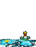 Gifs animados Animales - Imagenes animadas de Animales