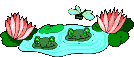 Gifs animados Animales - Imagenes animadas de Animales